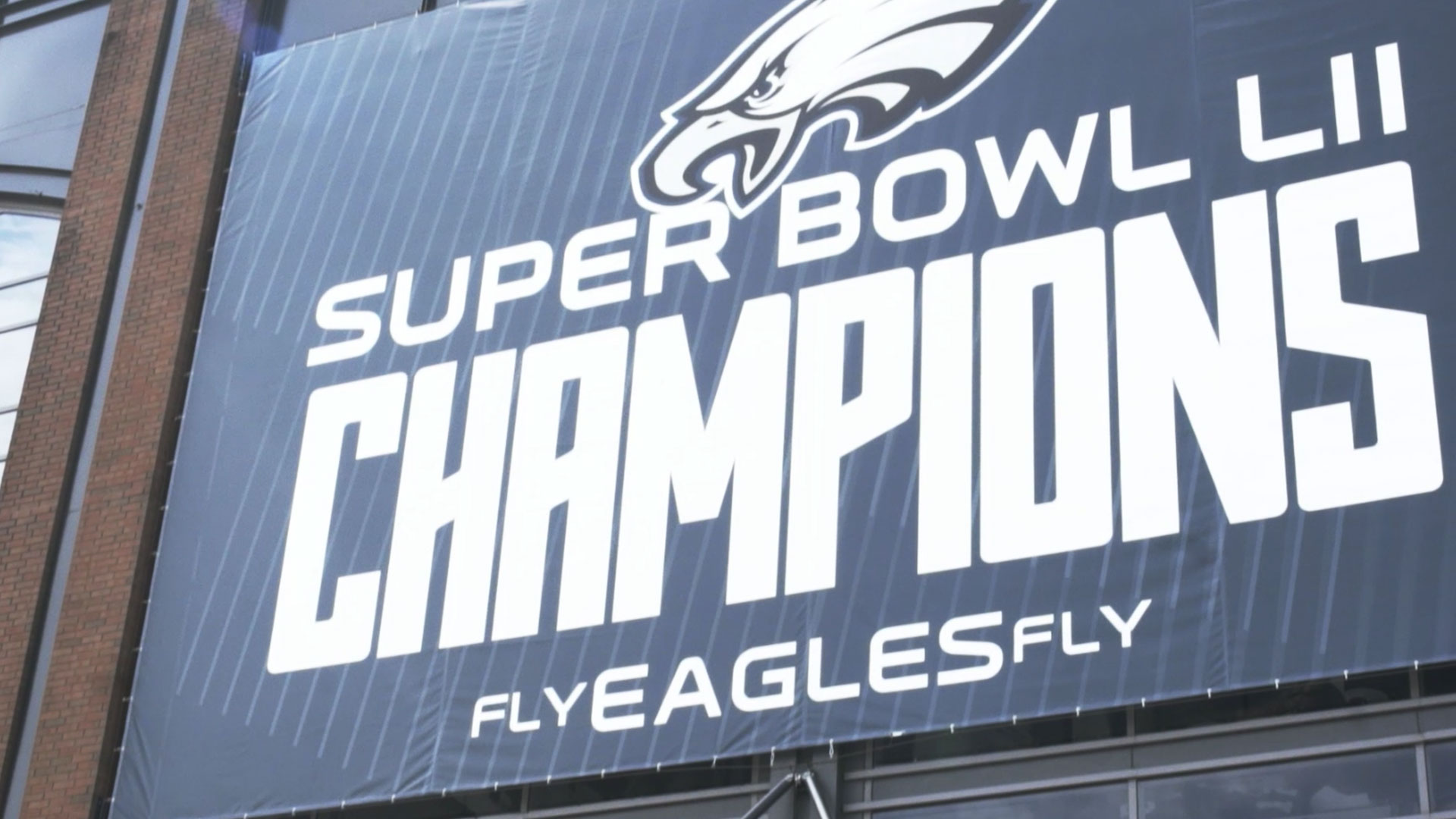 eagles